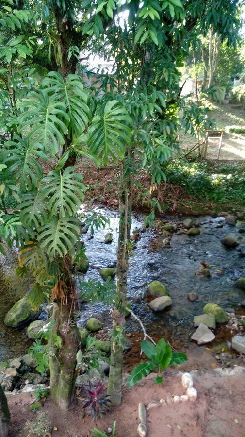 Pousada Beira Rio Quartéis エクステリア 写真